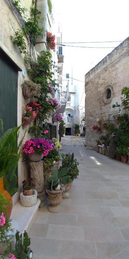 My Monopoli- Casa Dei Fiori "Orchidea" Centro Storico Otel Dış mekan fotoğraf
