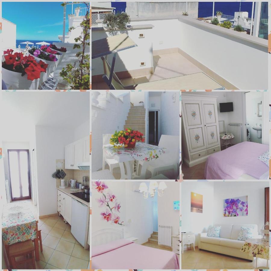 My Monopoli- Casa Dei Fiori "Orchidea" Centro Storico Otel Dış mekan fotoğraf